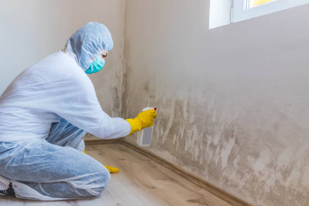 Licensed Commercial Mold Remediation service in Chambersburg, PA - WQB Mold Removal