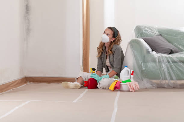 Reliable Commercial Mold Remediation contractor in Chambersburg, PA by WQB Mold Removal